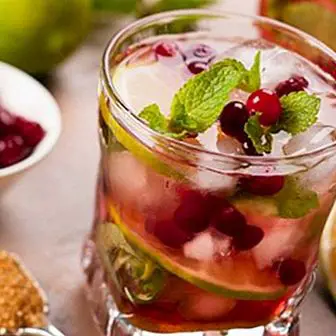 4 recipes for fruit cocktails without alcohol ideal for Christmas