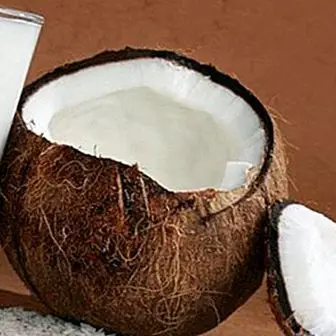 Hoe kokosmelk thuis te maken: 2 eenvoudige recepten