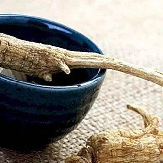 How to make a ginseng tea and its qualities for health