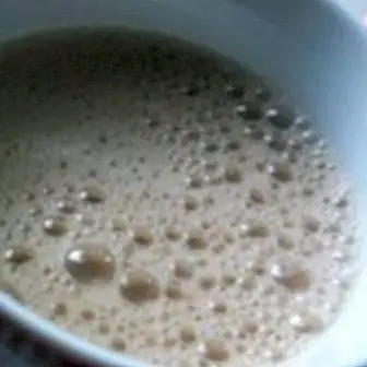 Como fazer leite de girassol