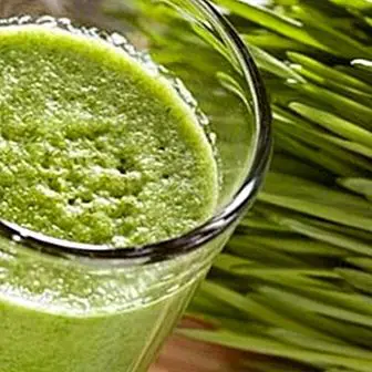 Refreshing juice of lettuce buds: recipe and benefits