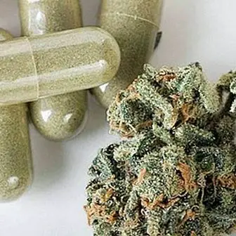 Основні медико-терапевтичні застосування марихуани