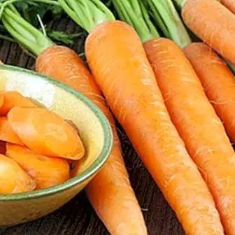Porkkana-vesi ripulia varten