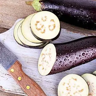 Bitter eggplants: how to eliminate bitterness easily with 3 tricks