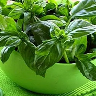 2 natural remedies with basil