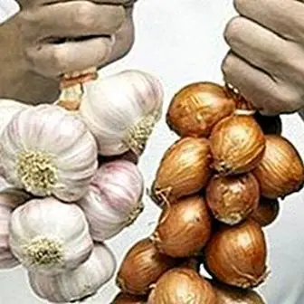 How to eliminate the smell of garlic or onion from your hands easily