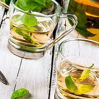 شاي الريحان: وصفة وفوائد وخصائص