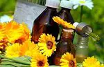 Comment préparer une huile de calendula maison idéale pour les massages