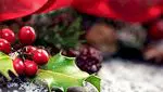 Christmas holly: origin, tradition and curiosities