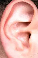 What is the eardrum and what is it used for?
