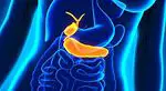 O que é o pâncreas, para que serve e suas principais funções