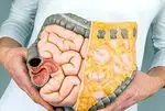 What is the mesentery and what is it for: the human 'new organ'