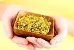 Chamomile in pregnancy: benefits and how to make the infusion - pregnancy