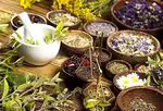 Tumbuhan dan herba untuk meningkatkan kesuburan secara semulajadi