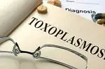 Toksoplazmoza: simptomi, uzroci, zaraza i kako ih izbjeći
