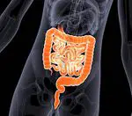 What are the symptoms of a damaged or altered intestinal flora - diseases