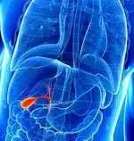 Removal or removal of gallbladder: everything you need to know - diseases