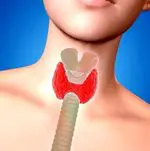 Hyperthyroidism: what is the overactive thyroid, symptoms and causes
