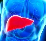 Autoimmune hepatitis: when the immune system attacks the liver