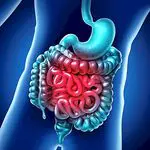 Irritable bowel syndrome: symptoms, treatment and diagnosis