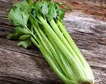 Celery: incredible benefits, properties and contraindications