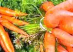 Hvad er beta-caroten?