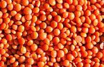 赤レンズ豆、利点およびそれらを調理する方法は何ですか