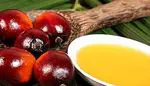 Why palm oil is so bad for health