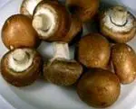 Mushrooms: benefits and properties
