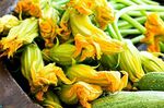 Zucchini flowers: what they are, benefits and when to pick them