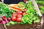 7 nasvetov za prehranjevanje z organsko hrano, ne da bi porabili veliko denarja