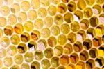 Pyłek: zalety i właściwości