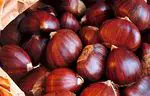 Do the chestnuts get fat? How many calories do they contribute?