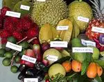 Troopilised puuviljad: kasu ja omadused