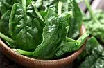 Spinach: benefits and properties. Popeye's food