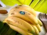 Banana of the Canary Islands: benefits and properties - nutrition and diet