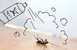 Natürliche Fallen, um Kakerlaken zu Hause zu töten - natürliche Heilmittel