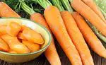 दस्त के लिए गाजर का पानी